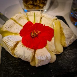 Eigene Käseherstellung - Ansicht eines gereiften Camembert