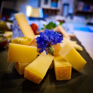 Eigene Käseherstellung - Auswahl Käse