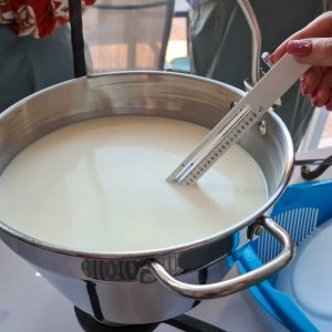 Eigene Käseherstellung - Erwärmen der Frischmilch