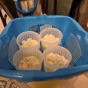 Eigene Käseherstellung - ungeformter Käse